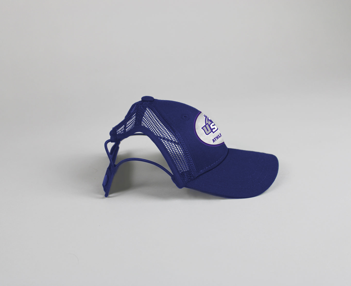 Game Day Dog Baseball Hat