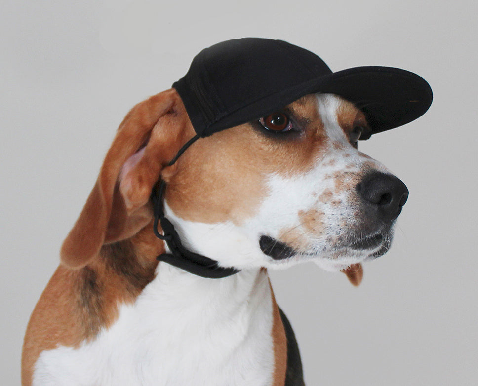 BIGGIE - Dog Baseball Cap