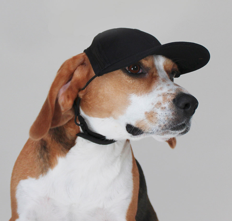 AI TEST – Pup Cap Black Medium