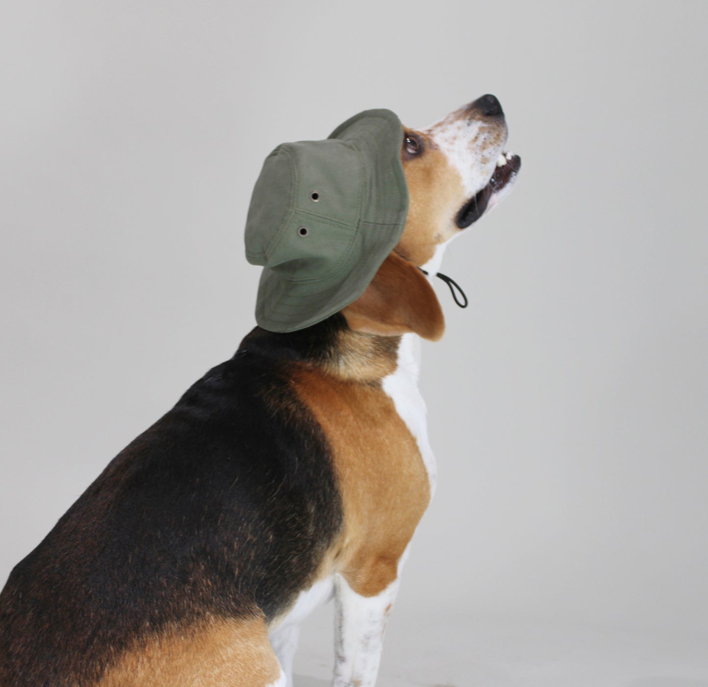 Dog Bucket Hat Olive Drab Canvas