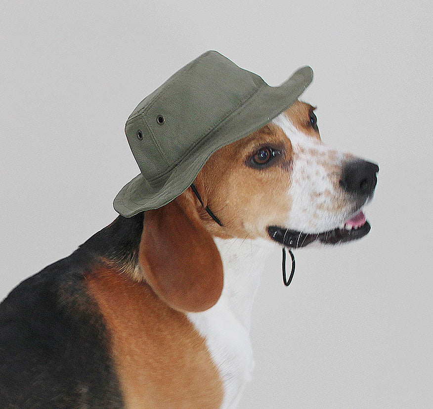 Dog Bucket Hat Olive Drab Canvas