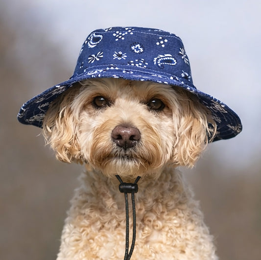 Blue Bandana Bucket Hat