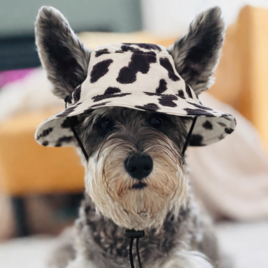 Cow Print Bucket Hat
