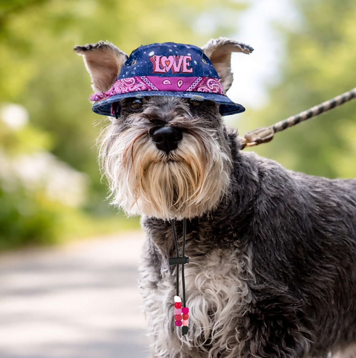 Vintage Love Denim Pup Hat