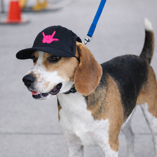 ASL "I Love You" Baseball Hat