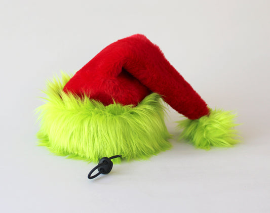 The Grinch Dog Santa Hat