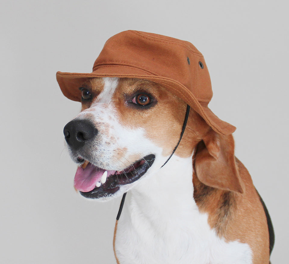 Dog Bucket Hat British Khaki Canvas