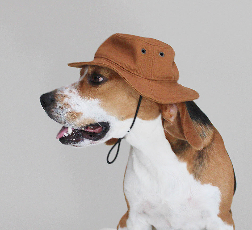 Dog Bucket Hat British Khaki Canvas